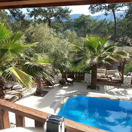 Apartman Kekikhan Olympos